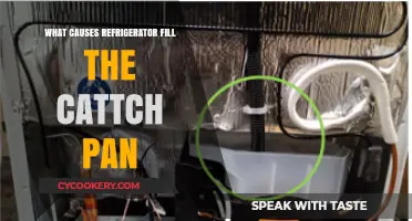Why Your Refrigerator's Catch Pan Fills Up: Common Causes Explained