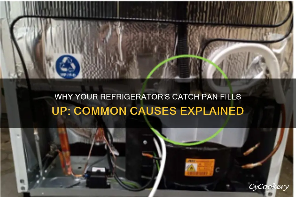what causes refrigerator fill the cattch pan