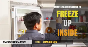 Why Your Refrigerator Freezes Up Inside: Common Causes Explained