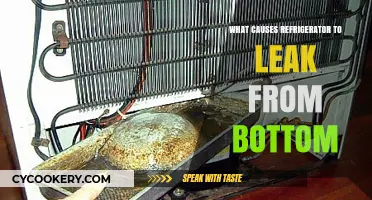 Why Is Your Refrigerator Leaking Water from the Bottom?