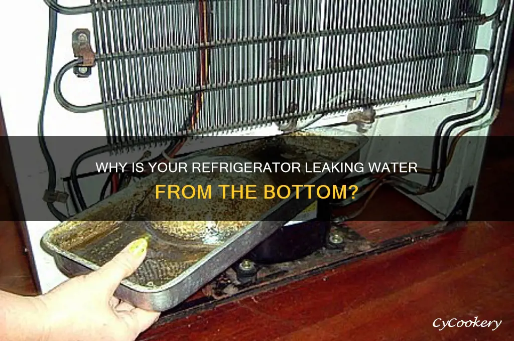 what causes refrigerator to leak from bottom