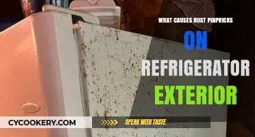 Understanding Rust Pinpricks on Your Refrigerator's Exterior: Causes Explained