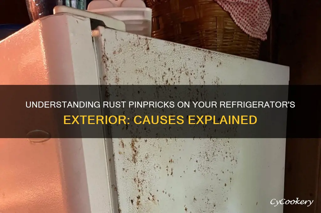 what causes rust pinpricks on refrigerator exterior