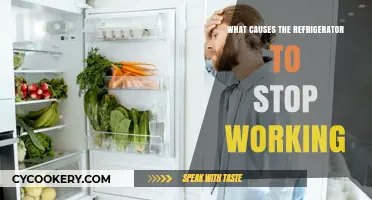 Why Your Refrigerator Stops Working: Common Causes and Solutions