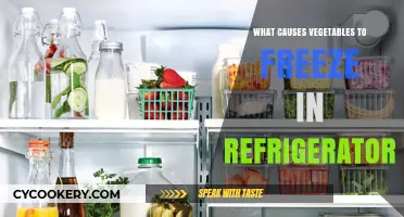 Why Do Vegetables Freeze in the Fridge? Common Causes Explained