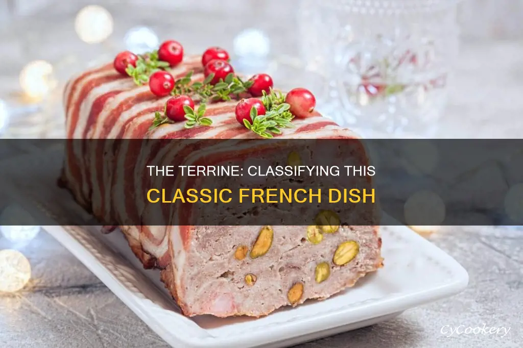 what classifies as a terrine