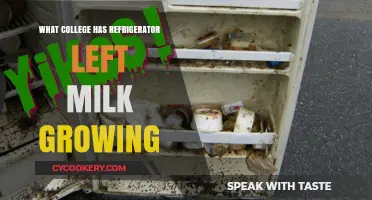 Which College Dorm Fridge Left Milk Growing Mold Unchecked?