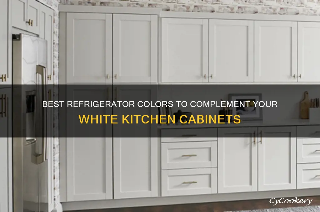 what color refrigerator goes with white cabinets