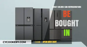 Explore the Rainbow: Refrigerator Colors Beyond Stainless Steel