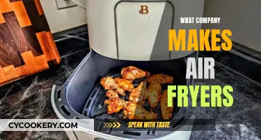 Which Companies Make Air Fryers?