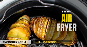 Air Fryer Cooking: What to Cook and How?