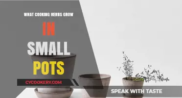 Compact Herb Gardening: Best Herbs for Small Pots and Spaces