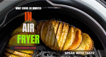 Quick Air-Fryer Recipes: 30-Minute Meals for the Win!