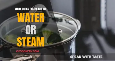 Steam vs Boiling Water: Which Cooks Faster?