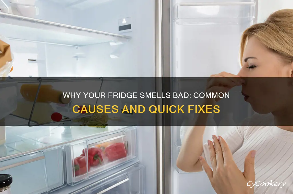 what could be making the refrigerator smell