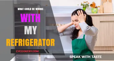 Troubleshooting Your Fridge: Common Issues and Quick Fixes Explained