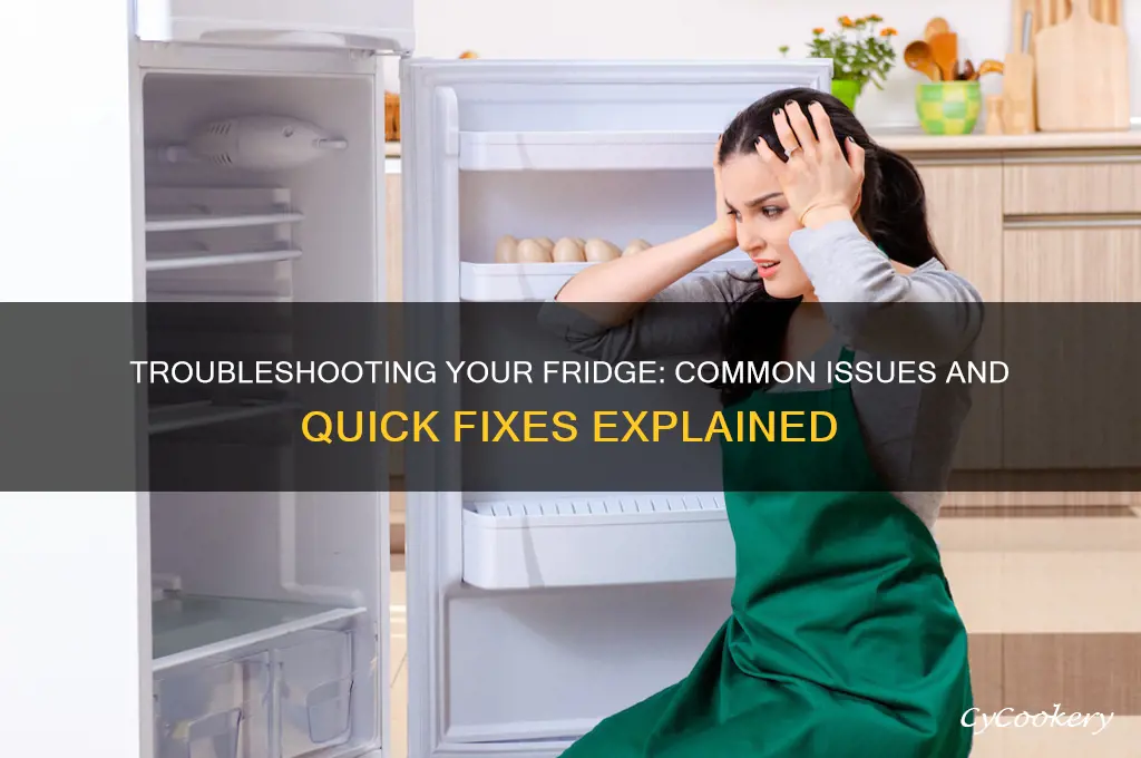 what could be wrong with my refrigerator
