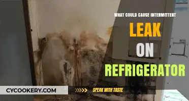 Troubleshooting Intermittent Refrigerator Leaks: Common Causes and Solutions