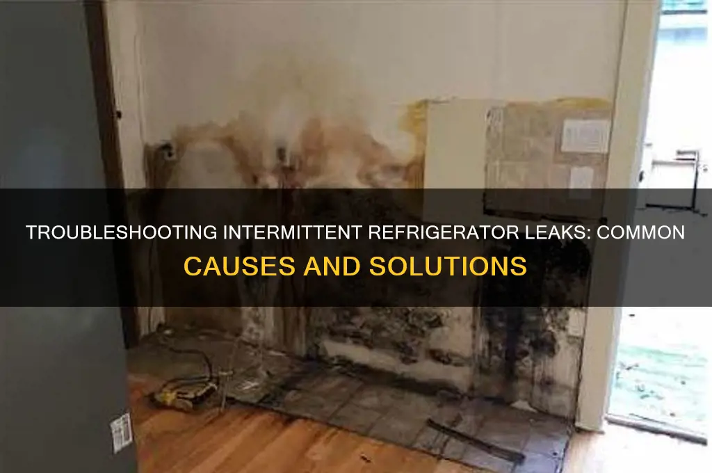 what could cause intermittent leak on refrigerator