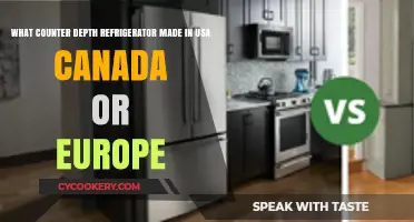 Best Counter Depth Refrigerators: USA, Canada, and Europe Models Compared
