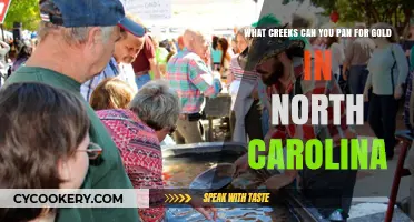 Panning for Gold: Best Creeks in North Carolina