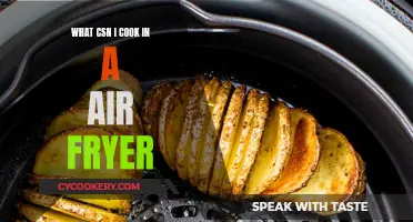 Air Fryer Cooking: Creative, Quick, and Tasty Ideas