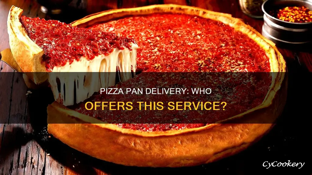 what delivery service has pizza pan