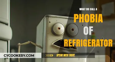Uncommon Fear: Understanding Frigophobia, the Phobia of Refrigerators