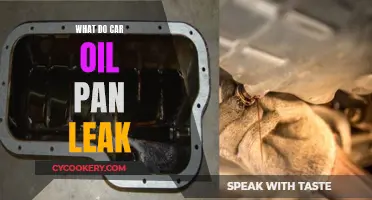 Car Oil Pan Leaks: Causes, Effects, and Solutions