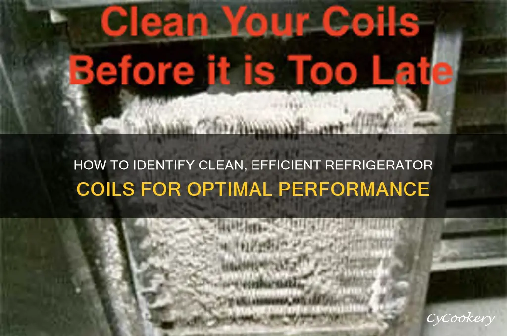 what do healthy refrigerator coils look like