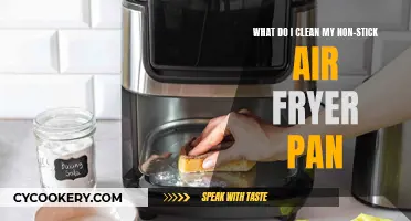 Cleaning Non-Stick Air Fryer Pans: Tips and Tricks