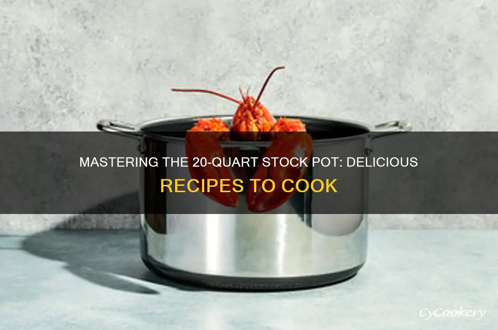 what do I cook in a 20 quart stock pot