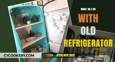 Eco-Friendly Ways to Dispose or Repurpose Your Old Refrigerator