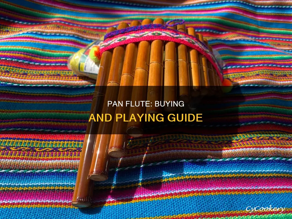 what do I need to know about a pan flute