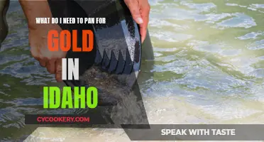 Panning for Gold in Idaho: What You Need