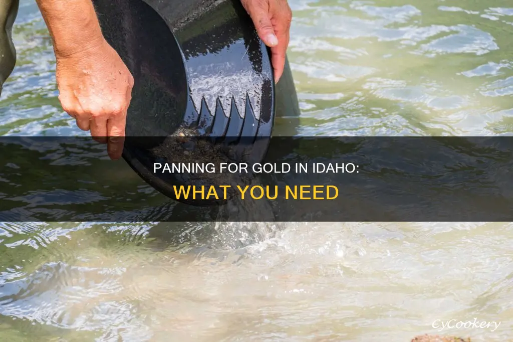 what do I need to pan for gold in idaho