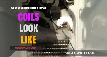 Kenmore Refrigerator Coils: Visual Guide to Their Appearance and Design