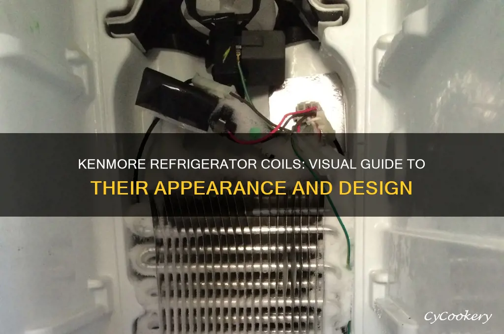 what do kenmore refrigerator coils look like