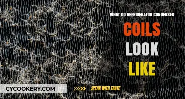 What Do Refrigerator Condenser Coils Look Like: A Visual Guide