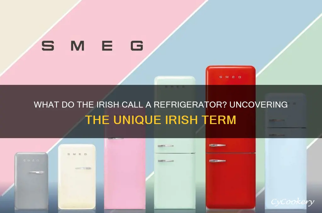 what do the irish call a refrigerator