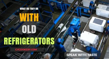 Recycling Old Fridges: How Are Discarded Refrigerators Repurposed or Disposed?
