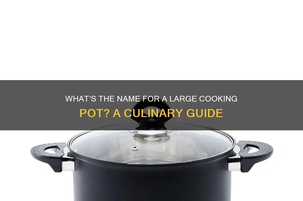 what do you call a large cooking pot