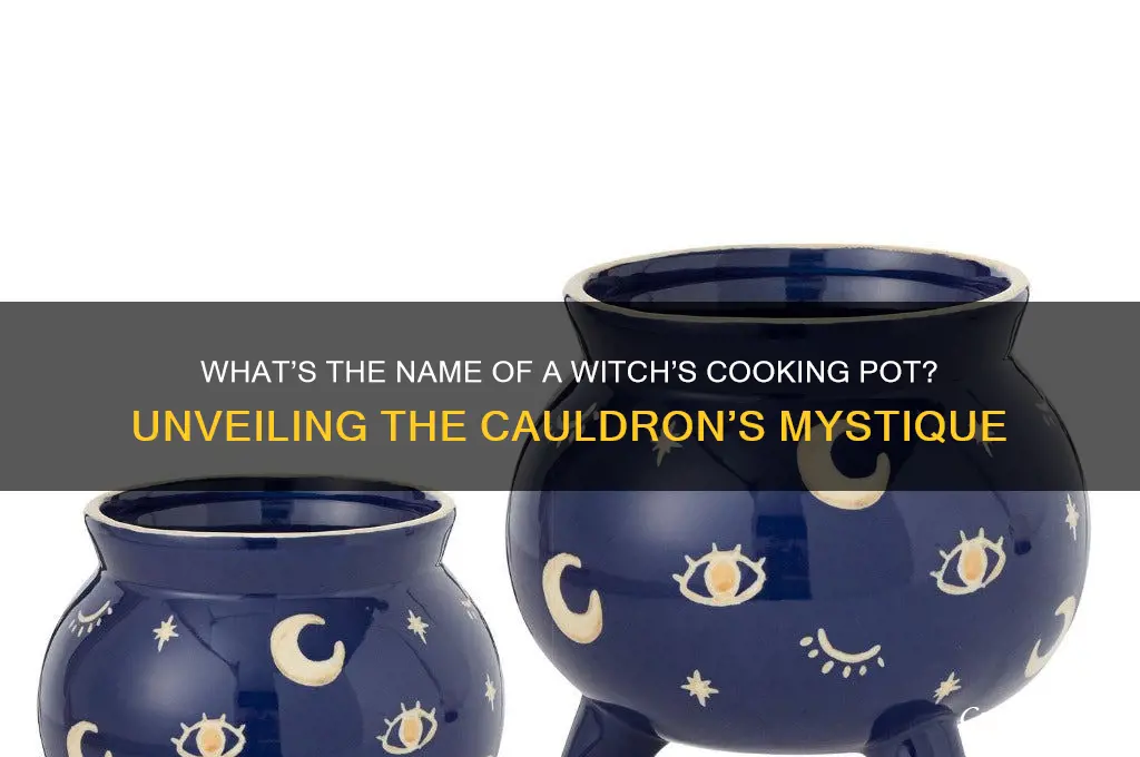 what do you call a witch cooking pot