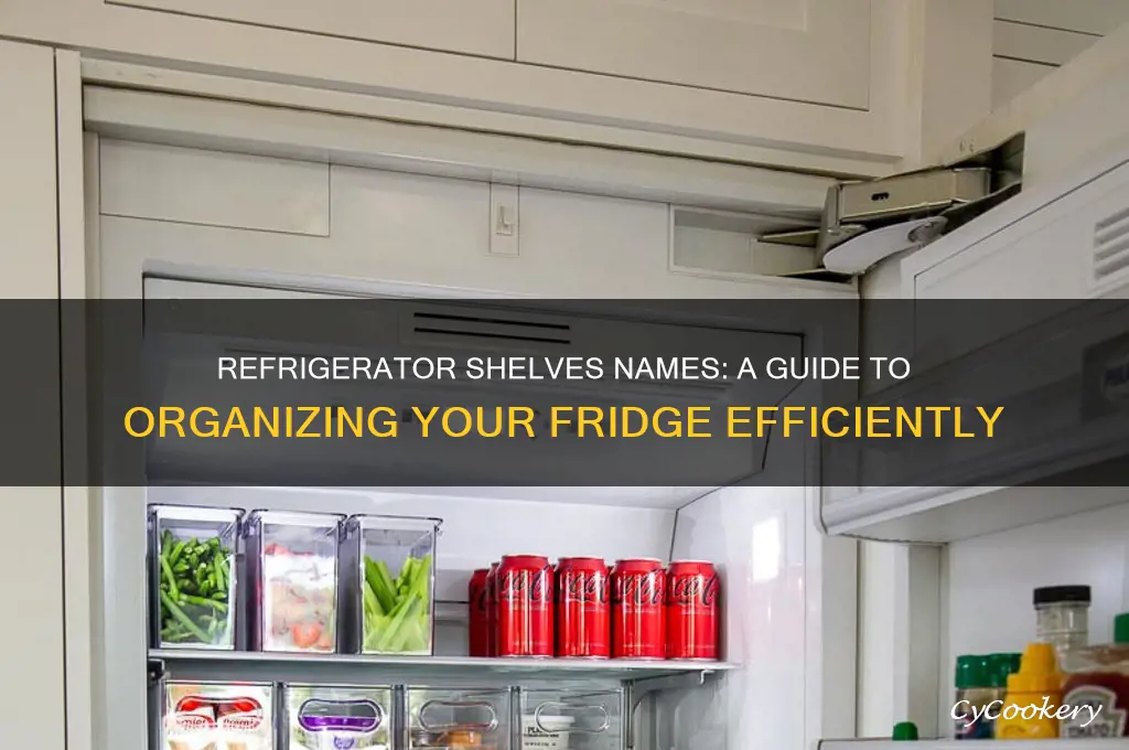 what do you call the refrigerator shelves