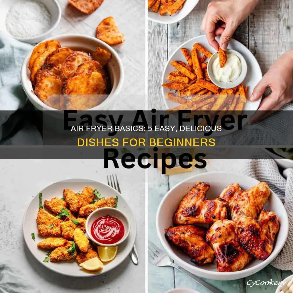 what do you cook in an air fryer for beginners