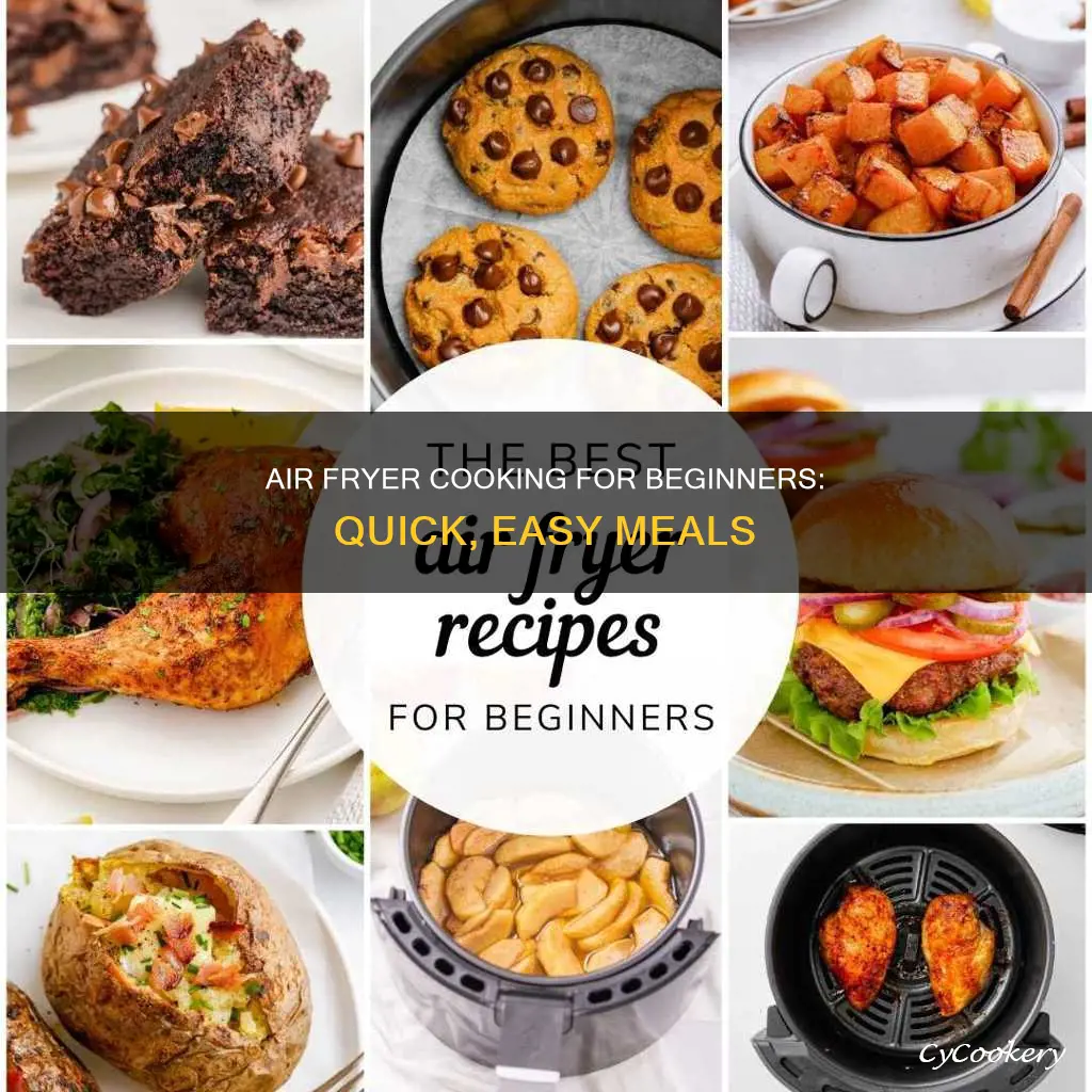 what do you cook in an air fryer for beginners