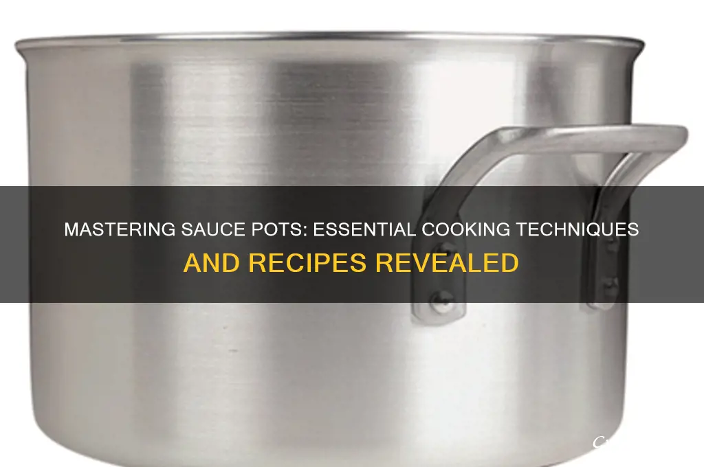 what do you cook sauce pots with