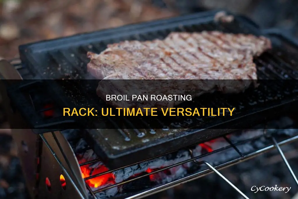 what do you do with broil pan roasting rack