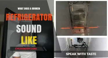 Unusual Noises: Decoding the Sounds of a Broken Refrigerator