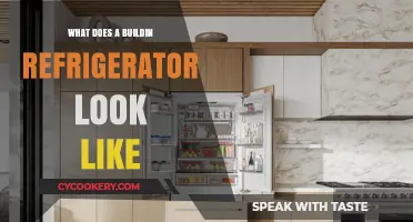 Exploring the Design and Features of a Built-In Refrigerator